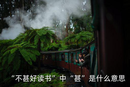 不甚,不好讀這個詞是否定句!