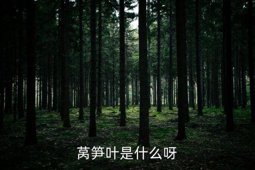 萵筍葉，萵筍葉是什么呀