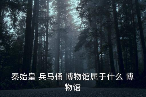 秦始皇 兵馬俑 博物館屬于什么 博物館