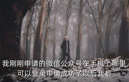我剛剛申請的微信公眾號在手機上哪里可以登錄申請成功了以后我都