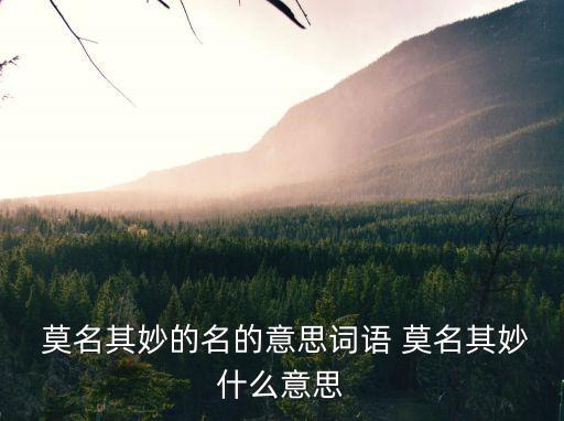 莫名的意思,第十五回:我是真的莫名精彩