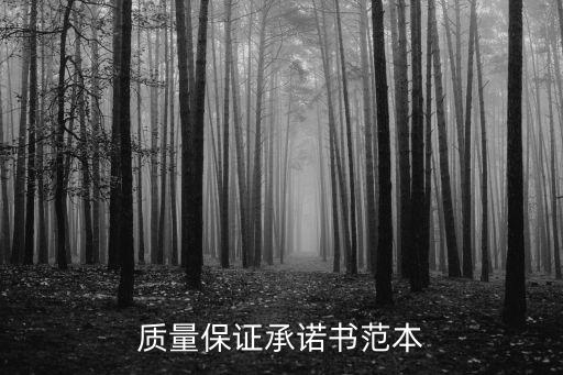 質量保證承諾書范本