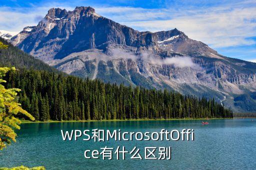 WPS和MicrosoftOffice有什么區別