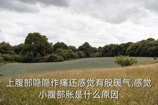 上腹部隱隱作痛還感覺有股暖氣,感覺小腹部脹是什么原因