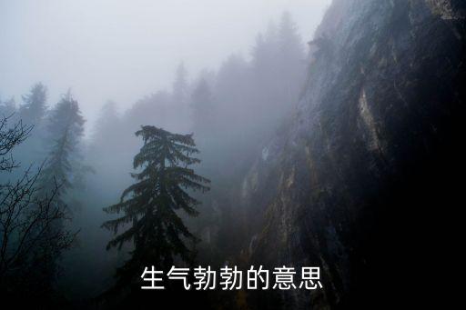生氣勃勃的意思