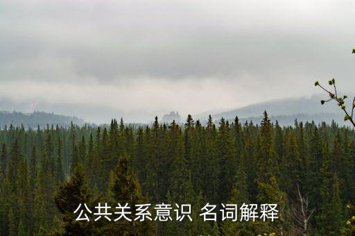 公共關系意識 名詞解釋
