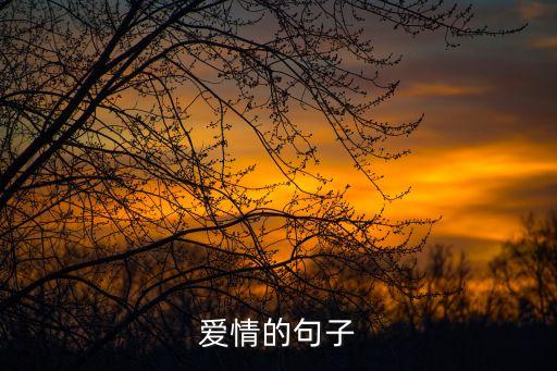 愛情的句子