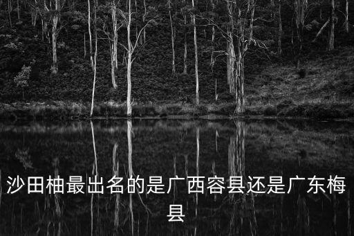 金柚之鄉(xiāng),梅州金柚果實(shí)大而直香氣撲鼻脆而化渣