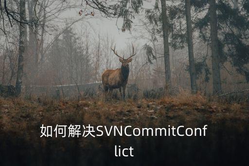 如何解決SVNCommitConflict