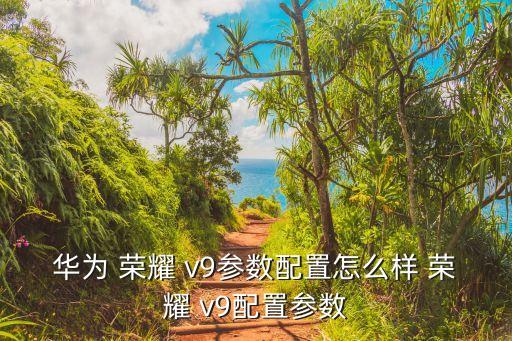 華為 榮耀 v9參數配置怎么樣 榮耀 v9配置參數