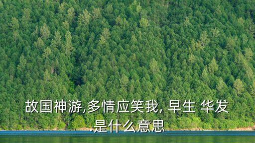 華發(fā)早生,早生華發(fā)出自蘇軾詞