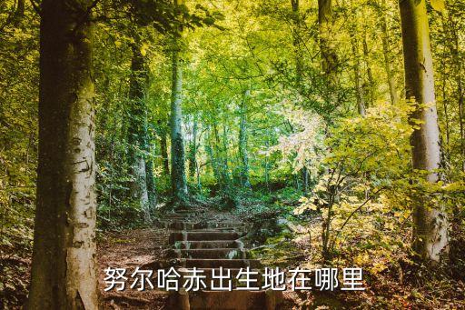 努爾哈赤,努爾哈池是后金開國皇帝