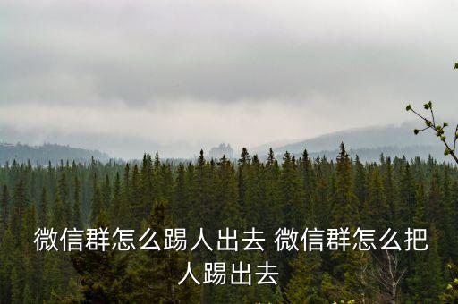  微信群怎么踢人出去 微信群怎么把人踢出去