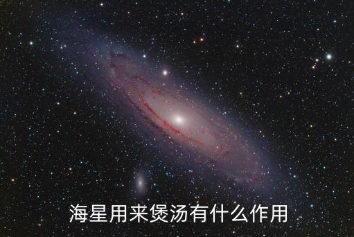  海星用來煲湯有什么作用