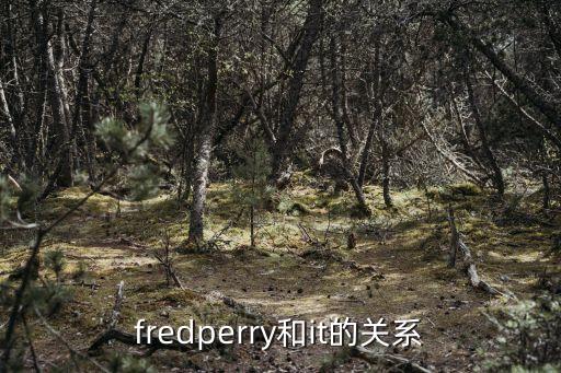 fredperry和it的關系