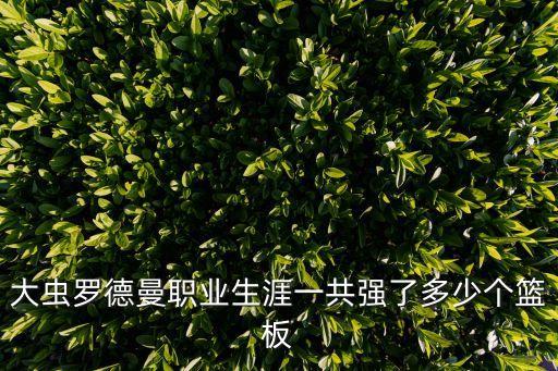 大蟲羅德曼職業生涯一共強了多少個籃板