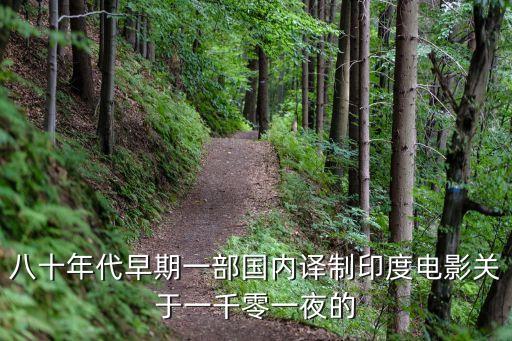 哈桑王子，哈尼族王子是什么意思