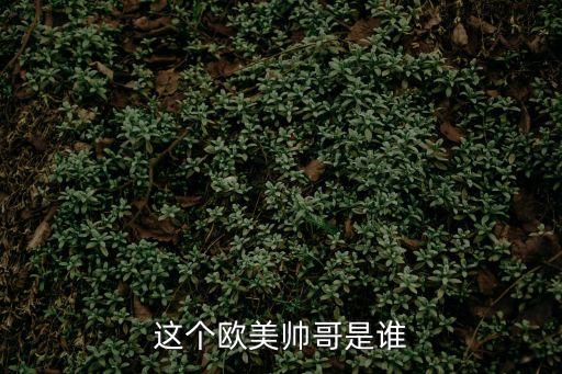 這個歐美帥哥是誰