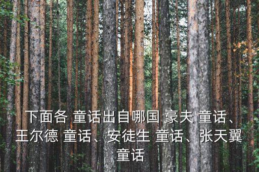 豪夫童話,奧斯卡·王爾德童話集:快樂王子等人和石榴屋