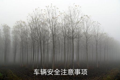  車輛安全注意事項