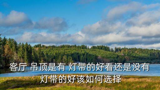 吊頂燈帶,中式吊燈造型吊頂燈怎么樣?