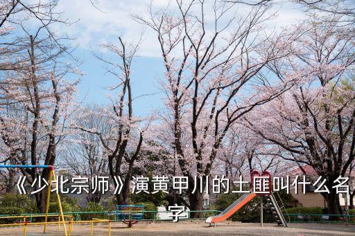 少北拳,中國形象大使少北拳精通柔和力量