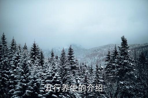 五行養(yǎng)生，五行養(yǎng)生的介紹