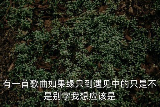 有一首歌曲如果緣只到遇見中的只是不是別字我想應該是