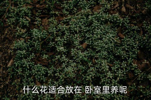 什么花適合放在 臥室里養呢