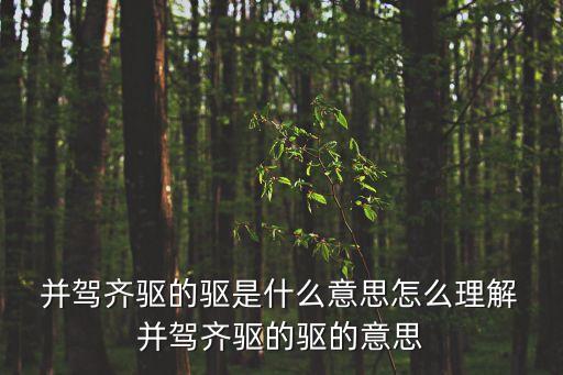 并駕齊驅,并駕齊驅:比喻彼此實力相當或天賦相當