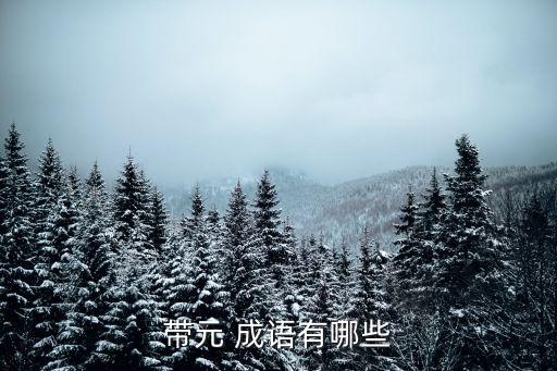 元的成語,開國元老:政治上資歷較高的人