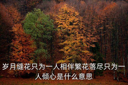 歲月縫花只為一人相伴繁花落盡只為一人傾心是什么意思