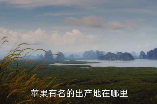 蘋果的原產地,中國蘋果20強縣你知道多少?