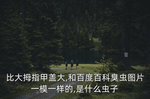 花大姐圖片,蟬蛻變態大法官網揭秘真相