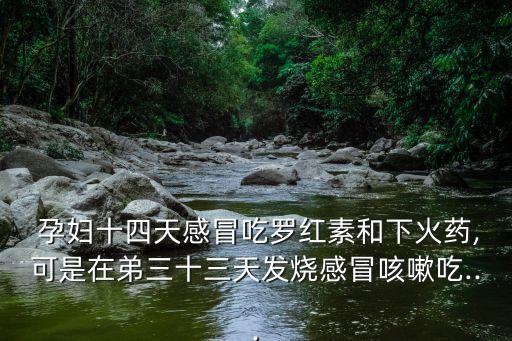  孕婦十四天感冒吃羅紅素和下火藥,可是在弟三十三天發(fā)燒感冒咳嗽吃...