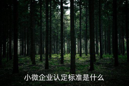 小微企業認定標準是什么