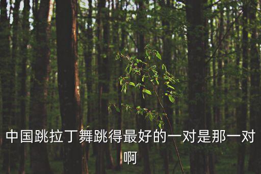 中國跳拉丁舞跳得最好的一對是那一對啊