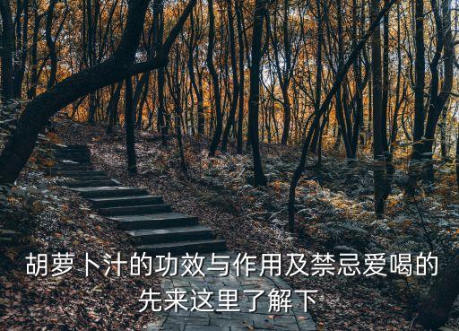  胡蘿卜汁的功效與作用及禁忌愛喝的先來這里了解下