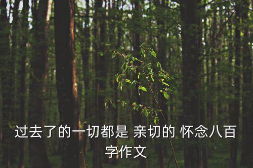 過去了的一切都是 親切的 懷念八百字作文