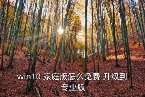 win10 家庭版怎么免費 升級到 專業版