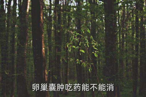 卵巢囊腫吃藥能不能消