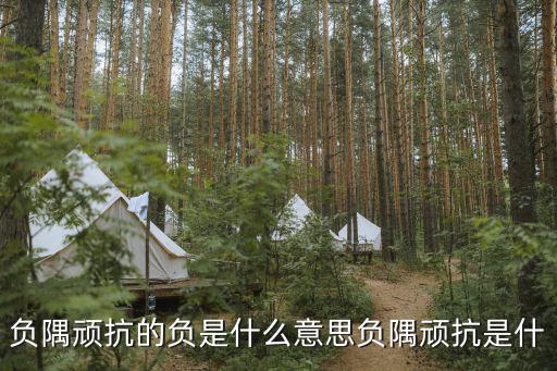 負隅頑抗的負是什么意思負隅頑抗是什