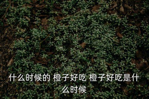 什么時候的 橙子好吃 橙子好吃是什么時候