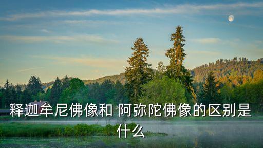釋迦牟尼佛像和 阿彌陀佛像的區別是什么