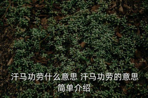 汗馬功勞是什么意思,第二集:錢學森立下汗馬功勞!