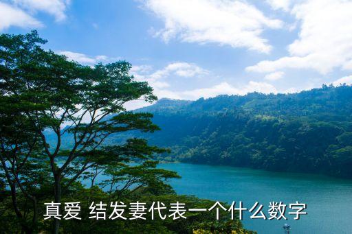 真愛 結發妻代表一個什么數字
