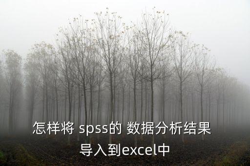spss導入數據,如何添加excel數據導入spss?