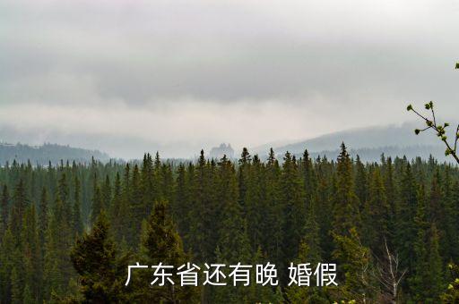 廣東婚假,探親假期間結(jié)婚的不再給假!