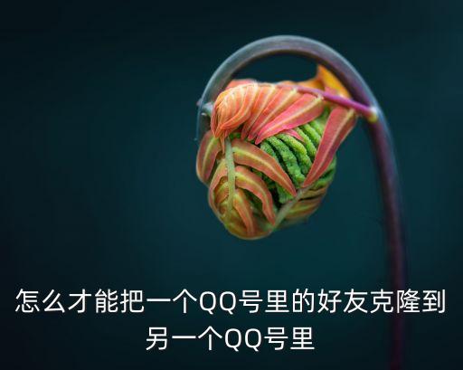 qq怎么克隆好友，QQ怎么克隆好友