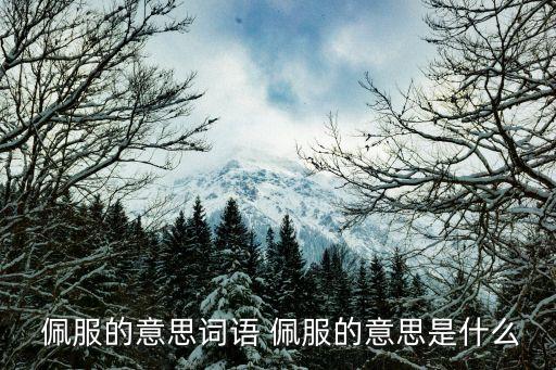 佩服的意思,什么是佩服和欽佩?